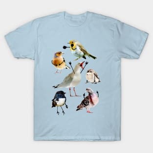 Birds with Arms T-Shirt